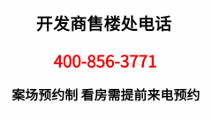 <b>特别是正在金融和高端栖身市场上的精</b>